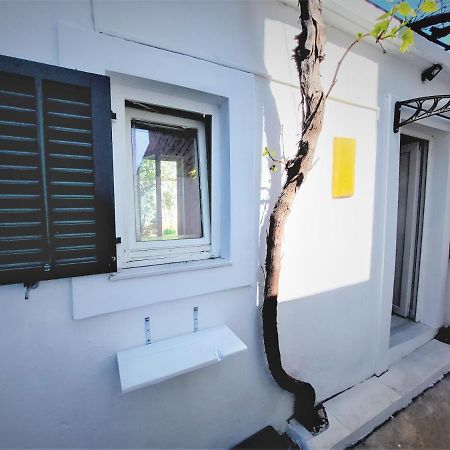 Studio Apartment Murter Center Luaran gambar
